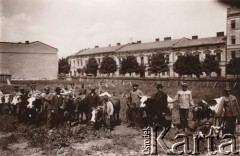 1915, Lwów.

 Żołnierze rosyjscy i austriaccy, cywile i bydło.
 Fot. NN, zbiory Ośrodka KARTA, udostępnił Jurij Karpenczuk
   
