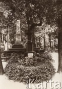 1899-1939, Lwów, Polska.
 Cmentarz Łyczakowski, grób działacza społecznego, prezydenta parlamentu Austro-Węgier, Franciszka Smolki (1810-1899) i jego żony Leokadii Smolkowej.
 Fot. NN, zbiory Ośrodka KARTA, udostępnił Jurij Karpenczuk
    
