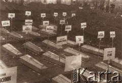 1921-1922, Lwów, Polska.
 Ekshumacja zwłok Obrońców Lwowa z terenów Politechniki lub ogrodów jezuickich.
 Fot. NN, zbiory Ośrodk KARTA
   

