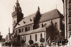 Przed 1914, Tarnów, Austro-Węgry.
 Katedra Pod wezwaniem Nawiedzenia Najświętszej Maryi Panny.
 Fot. NN, zbiory Ośrodka KARTA, udostępnił Jurij Karpenczuk
   
