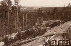 1915, okolice Lwowa, Austro-Węgry.
Umocnione wzgórze Po walkach Austriaków i Rosjan latem 1915 r., na tle połamanych drzew stoją trzej żołnierze austriaccy.
Fot. NN, zbiory Ośrodka KARTA, udostępnił Jurij Karpenczuk