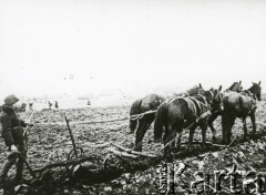 1939-1940, Polska.
Prace polowe, orka.
Fot. NN, zbiory Ośrodka KARTA, udostępnił Krzysztof Jasiewicz [sygn. oryginalna 0-19411]
 
