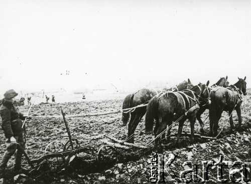 1939-1940, Polska.
Prace polowe, orka.
Fot. NN, zbiory Ośrodka KARTA, udostępnił Krzysztof Jasiewicz [sygn. oryginalna 0-19411]
 
