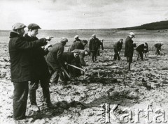 Jesień 1939, Polska.
Prace polowe.
Fot. NN, zbiory Ośrodka KARTA, udostępnił Krzysztof Jasiewicz [sygn. oryginalna 0-19463]
 
