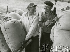 Jesień 1939, Polska.
Ważenie worków ze zbożem.
Fot. NN, zbiory Ośrodka KARTA, udostępnił Krzysztof Jasiewicz [sygn. oryginalna 0-32636]
 
