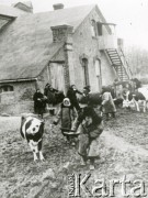 1939-1940, Polska.
Wyprowadzanie krów z obory.
Fot. NN, zbiory Ośrodka KARTA, udostępnił Krzysztof Jasiewicz [sygn. oryginalna 0-67469]
 
