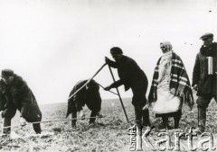Jesień 1939, Sobolewo, pow. Grodno, Białoruska SRR, Polska.
Gospodarze dzielą grunty księcia Lubomirskiego.
Fot. NN, zbiory Ośrodka KARTA, udostępnił Krzysztof Jasiewicz, [sygn. oryginalna 1-548]
 
