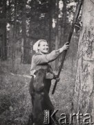 1954-1955, Orłowka, pow. Bolszaja Murta, Krasnojarski Kraj, ZSRR.
Katarzyna Baczyńska pracująca jako nacinaczka, obok niej pies Bob.
Fot. Juliusz Baczyński, kolekcję udostępnił Juliusz Baczyński, zbiory Ośrodka KARTA.