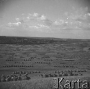 Lato 1939, Krasnostawce, pow. Śniatyn, woj. Stanisławów, Polska
Pola po żniwach.
Fot. Stanisław Bober, kolekcję udostępniły Danuta Mordal i Ewa Szafrańska; zbiory Ośrodka KARTA 


