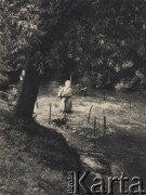 przed 1939, Krasnostawce, powiat Śniatyn, woj. Stanisławów, Polska
Kobieta stojąca w rzece.
Fot. Stanisław Bober, kolekcję udostępniły Danuta Mordal i Ewa Szafrańska; zbiory Ośrodka KARTA 

