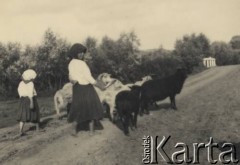 przed 1939, Krasnostawce, powiat Śniatyn, woj. Stanisławów, Polska
Dziweczynki i stadko owiec.
Fot. Stanisław Bober, kolekcję udostępniły Danuta Mordal i Ewa Szafrańska; zbiory Ośrodka KARTA 

