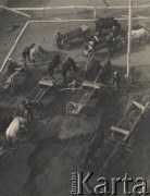 1938-1939, Stanisławów, Polska
Furmanki na placu budowy.
Fot. Stanisław Bober, kolekcję udostępniły Danuta Mordal i Ewa Szafrańska; zbiory Ośrodka KARTA 


