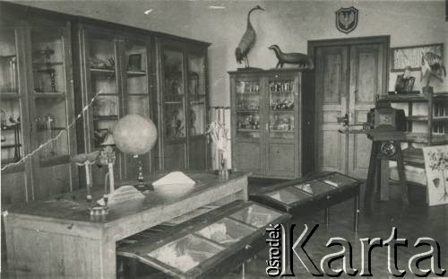 Przed 1939, Kołomyja, woj. stanisławowskie, Polska.
Gabinet biologiczny w szkole ss. urszulanek.
Fot. NN, zbiory Ośrodka KARTA