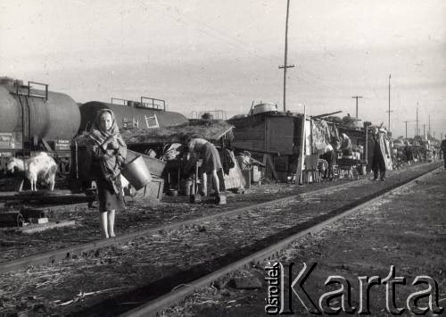 Lipiec 1945, Ligota k/Katowic, Polska.
Repatriacja Polaków z ZSRR - 9-dniowy postój transportu repatriacyjnego ze Stanisławowa, życie na torach.
Fot. Stanisław Bober, kolekcję udostępniły Danuta Mordal i Ewa Szafrańska; zbiory Ośrodka KARTA 

