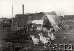 Lipiec 1945, Ligota k/Katowic, Polska.
Repatriacja Polaków z ZSRR - 9-dniowy postój transportu repatriacyjnego ze Stanisławowa, życie na torach.
Fot. Stanisław Bober, kolekcję udostępniły Danuta Mordal i Ewa Szafrańska; zbiory Ośrodka KARTA 

