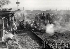 Lipiec 1945, Ligota k/Katowic, Polska.
Repatriacja Polaków z ZSRR - 9-dniowy postój transportu repatriacyjnego ze Stanisławowa, życie na torach.
Fot. Stanisław Bober, kolekcję udostępniły Danuta Mordal i Ewa Szafrańska; zbiory Ośrodka KARTA 

