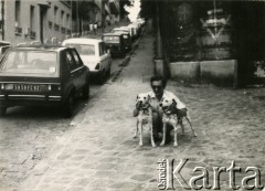 Brak daty, Paryż, Francja.
Zdzisław Najder z psami.
Fot. NN, kolekcja Zdzisława Najdera, zbiory Ośrodka KARTA.