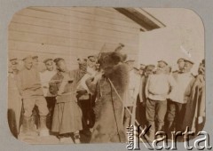 1905, Mandżuria.
Wojna rosyjsko-japońska - żołnierze rosyjscy oglądający występy tresowanego niedźwiedzia.
Fot. NN, zbiory Ośrodka KARTA, kolekcję rodziny Petrulewiczów udostępniły Halszka i Wanda Żuromskie