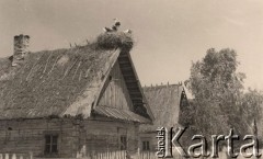 1941, Brześć nad Bugiem (Brześć Litewski).
 Wieś w okolicach Brześcia, bociany w gnieździe na dachu chałupy.
 Fot. NN, zbiory Ośrodka KARTA, udostępnił Stanisław Blichiewicz
   
