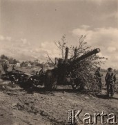 1941, Brześć nad Bugiem.
 Okolice Twierdzy Brześć, radziecka haubica 152 mm, wz. 37 zamaskowana gałęziami.
 Fot. NN, zbiory Ośrodka KARTA, udostępnił Stanisław Blichiewicz
   
