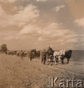 1941, ZSRR.
 Niemieckie tabory.
 Fot. NN, zbiory Ośrodka KARTA, udostępnił Stanisław Blichiewicz
   
