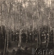 1941, ZSRR.
 Obóz leśny armii niemieckiej, między drzewami stoją członkowie wojskowej orkiesrty.
 Fot. NN, zbiory Ośrodka KARTA, udostępnił Stanisław Blichiewicz
   
