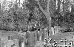 1980-1981, Warszawa, Polska.
Groby obok tzw. Dolinki Katyńskiej na Cmentarzu Powązkowskim.
Fot. NN, zbiory Ośrodka KARTA/Independent Polish Agency (IPA) przekazał Józef Lebenbaum