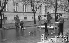 8.03.1981, Warszawa, Polska.
Obchody rocznicy Marca'68 na Uniwersytecie Warszawskim - uroczystość wmurowania w ścianę Pałacu Uruskich (Czetwertyńskich) aktu erekcyjnego pod tablicę upamiętniającą wiec studentów domagających się wolności słowa w marcu 1968. Przygotowania do uroczystości na Dużym Dziedzińcu. 
Fot. NN, zbiory Ośrodka KARTA/Independent Polish Agency (IPA) przekazał Józef Lebenbaum