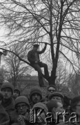 8.03.1981, Warszawa, Polska.
Obchody rocznicy Marca'68 na Uniwersytecie Warszawskim - uroczystość wmurowania w ścianę Pałacu Uruskich (Czetwertyńskich) aktu erekcyjnego pod tablicę upamiętniającą wiec studentów domagających się wolności słowa w marcu 1968. Siedzący na drzewie uczestnik uroczystości. 
Fot. NN, zbiory Ośrodka KARTA/Independent Polish Agency (IPA) przekazał Józef Lebenbaum