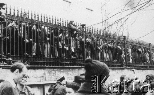 8.03.1981, Warszawa, Polska.
Obchody rocznicy Marca'68 na Uniwersytecie Warszawskim - uroczystość wmurowania w ścianę Pałacu Uruskich (Czetwertyńskich) aktu erekcyjnego pod tablicę upamiętniającą wiec studentów domagających się wolności słowa w marcu 1968. Uczestnicy uroczystości, pierwszy z lewej strony stoi Jerzy Wocial.
Fot. NN, zbiory Ośrodka KARTA/Independent Polish Agency (IPA) przekazał Józef Lebenbaum