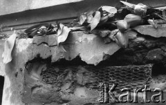 8.03.1981, Warszawa, Polska.
Obchody rocznicy Marca'68 na Uniwersytecie Warszawskim - uroczystość wmurowania w ścianę Pałacu Uruskich (Czetwertyńskich) aktu erekcyjnego pod tablicę upamiętniającą wiec studentów domagających się wolności słowa w marcu 1968. Kwiaty na miejscu wmurowania aktu.
Fot. NN, zbiory Ośrodka KARTA/Independent Polish Agency (IPA) przekazał Józef Lebenbaum