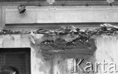 8.03.1981, Warszawa, Polska.
Obchody rocznicy Marca'68 na Uniwersytecie Warszawskim - uroczystość wmurowania w ścianę Pałacu Uruskich (Czetwertyńskich) aktu erekcyjnego pod tablicę upamiętniającą wiec studentów domagających się wolności słowa w marcu 1968. Kwiaty na miejscu wmurowania aktu.
Fot. NN, zbiory Ośrodka KARTA/Independent Polish Agency (IPA) przekazał Józef Lebenbaum