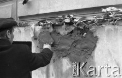 8.03.1981, Warszawa, Polska.
Obchody rocznicy Marca'68 na Uniwersytecie Warszawskim - uroczystość wmurowania w ścianę Pałacu Uruskich (Czetwertyńskich) aktu erekcyjnego pod tablicę upamiętniającą wiec studentów domagających się wolności słowa w marcu 1968. Kwiaty na miejscu wmurowania aktu.
Fot. NN, zbiory Ośrodka KARTA/Independent Polish Agency (IPA) przekazał Józef Lebenbaum