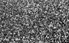 Po 13.05.1981, Warszawa, Polska.
Przygotowania przed Kościołem św. Anny do mszy zorganizowanej po zamachu na Jana Pawła II. Widok z wieży na wiernych zgromadzonych przed kościołem. 
Fot. NN, zbiory Ośrodka KARTA/Independent Polish Agency (IPA) przekazał Józef Lebenbaum
