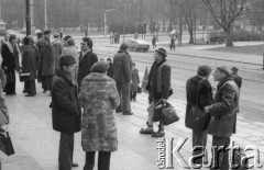 8-9.03.1981, Poznań, Polska.
Zjazd zjednoczeniowy NSZZ Rolników Indywidualnych  