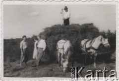 Lipiec 1942, Campulung Muscel, Rumunia.
Polscy uchodźcy w Rumunii podczas II wojny światowej. Kolonie letnie dla polskich studentów - Stanisław Wisłocki obok wozu z sianem.
Fot. NN, zbiory Ośrodka KARTA, udostępnił Tadeusz Deszkiewicz