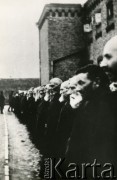 1939-1942, Płońsk, Polska.
Aresztowanie 6000 Żydów. Fotografia wykonana na terenie więzienia przez funkcjonariusza Einsatzkommando3, wchodzącego w skład Einsatzgruppe V, dowodzonej przez Ernsta Damzoga.
Fot. NN, zbiory Ośrodka KARTA, przekazał Jan Ptasiński