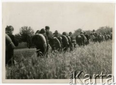 Maj 1954, Góry Świętokrzyskie, Polska.
Wycieczka młodzieży z grochowskiego Domu Harcerza. 
Fot. NN, kolekcja Elżbiety Jędrych-Pordes, zbiory Ośrodka KARTA.