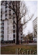 Prawdopodobnie 2012, Warszawa, Polska.
Dzielnica Praga-Południe, topola rosnące niegdyś u zbiegu ulic Fundamentowej i Grenadierów, obecnie wśród bloków nowego osiedla. W latach 50. miejsce spotkań uczennic ze szkoły przy ulicy Siennickiej.
Fot. Elżbieta Jędrych-Pordes, zbiory Ośrodka KARTA.

