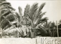 1941-1943, Egipt.
Dwaj żołnierze Samodzielnej Brygady Strzelców Karpackich na tle palm.
Fot. Czesław Dobrecki, zbiory Ośrodka KARTA, Pogotowie Archiwalne [PAF_015], przekazał Krzysztof Dobrecki