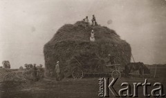 Lato 1932, Krasnów, gm. Bolimów, pow. Łowicz, woj. Warszawa, Polska.
Grupa chłopów podczas pracy na polu w trakacie żniw. Mężczyzna stojący na wozie podaje słomę osobom układającym stóg. 
Fot. NN, zbiory Ośrodka KARTA, Pogotowie Archiwalne [PAF_005], udostępnił Krzysztof Dobrecki