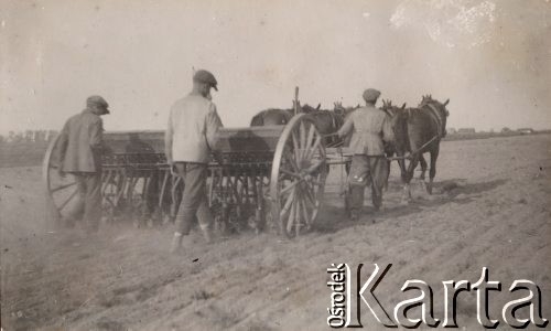 1932, Krasnów, gm. Bolimów, pow. Łowicz, woj. Warszawa, Polska.
Chłopi na polu podczas siania zboża.
Fot. NN, zbiory Ośrodka KARTA, Pogotowie Archiwalne [PAF_005], udostępnił Krzysztof Dobrecki