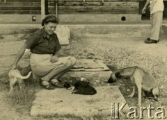 1942-1944, Irak.
Ochotniczka z Pomocniczej Służby Kobiet z małymi pieskami.
Fot. Czesław Dobrecki, zbiory Ośrodka KARTA, Pogotowie Archiwalne [PAF_015], przekazał Krzysztof Dobrecki