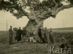 1941, Palestyna.
Żołnierze Samodzielnej Brygady Strzelców Karpackich przy drzewie figowym.
Fot. Czesław Dobrecki, zbiory Ośrodka KARTA, Pogotowie Archiwalne [PAF_015], przekazał Krzysztof Dobrecki