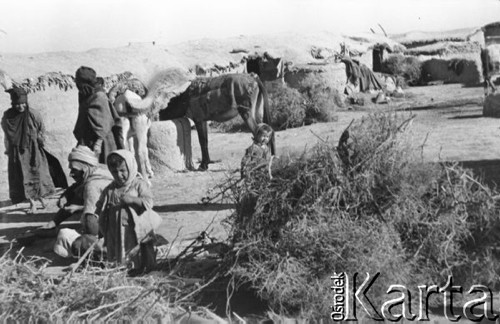 1943, Irak.
Mieszkańcy wioski przed chatami.
Fot. Czesław Dobrecki, zbiory Ośrodka KARTA, Pogotowie Archiwalne [PAF_015], przekazał Krzysztof Dobrecki
