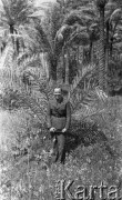 1940-1943, brak miejsca.
Żołnierz 2 Korpusu - Czesław Dobrecki, na tle palm.
Fot. NN, zbiory Ośrodka KARTA, Pogotowie Archiwalne [PAF_015], przekazał Krzysztof Dobrecki
