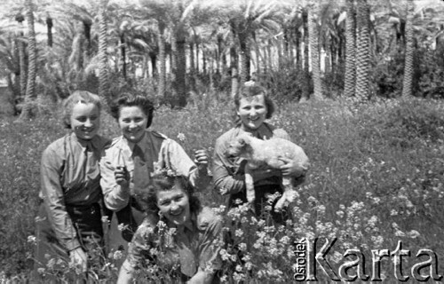 1943, Irak.
Ochotniczki z Pomocniczej Służby Kobiet.
Fot. Czesław Dobrecki, zbiory Ośrodka KARTA, Pogotowie Archiwalne [PAF_015], przekazał Krzysztof Dobrecki
