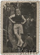 1939, Mława, woj. Warszawa
Piotr Zbrzyzny na drzewie, zginął podczas niemieckiego nalotu 2 września 1939 roku.
Fot. NN, zbiory Ośrodka KARTA, Pogotowie Archiwalne [PAF_051], udostępniła Barbara Zacharko