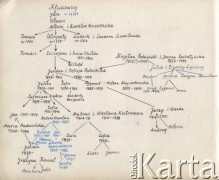 Brak daty, brak miejsca.
Drzewo genealogiczne rodziny Klukowskich.
Fot. zbiory Ośrodka KARTA, udostępniła Joanna Majewska