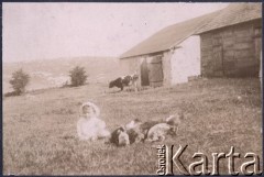 1910, Iwachnowce k/ Kamieńca Podolskiego, Ukraina, Rosja.
Dziecko siedzące na trawie, prawdopodobnie Antoni Klukowski, urodzony w 1909 roku, syn Eufrozyny i Juliana Klukowskich. Obok niego widoczne są indyki i kury, w oddali budynki gospodarcze i stojąca koło nich krowa.
Fot. NN, zbiory Ośrodka KARTA, udostępniła Joanna Majewska